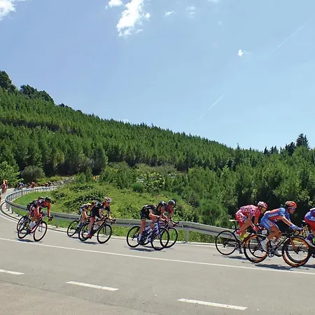 Gorgeous In With House Sea View Apartment Drvenik (Split-Dalmatia)